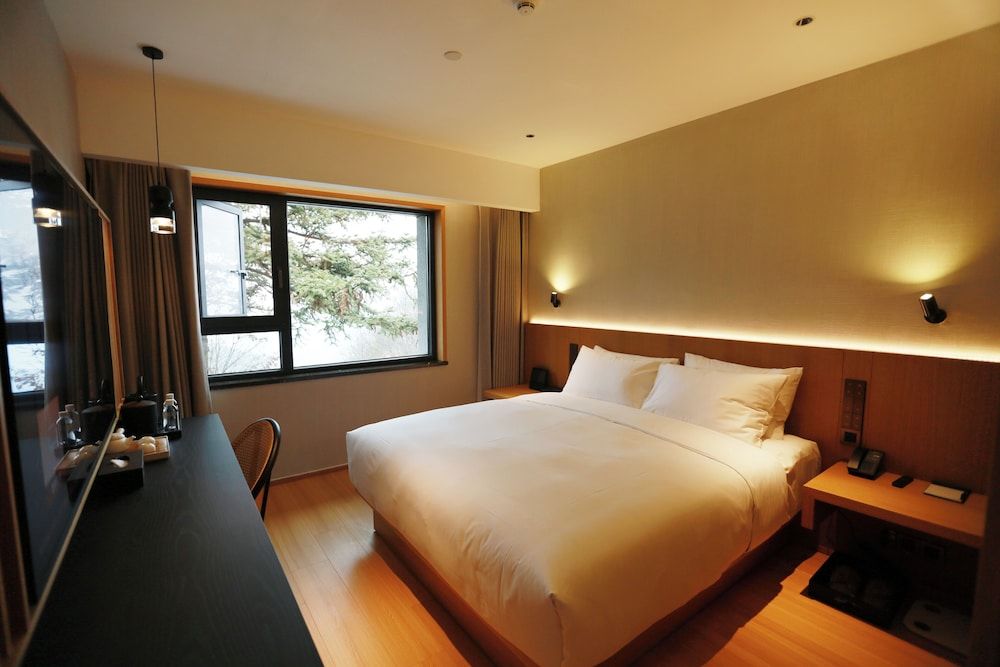 Basic Single Room