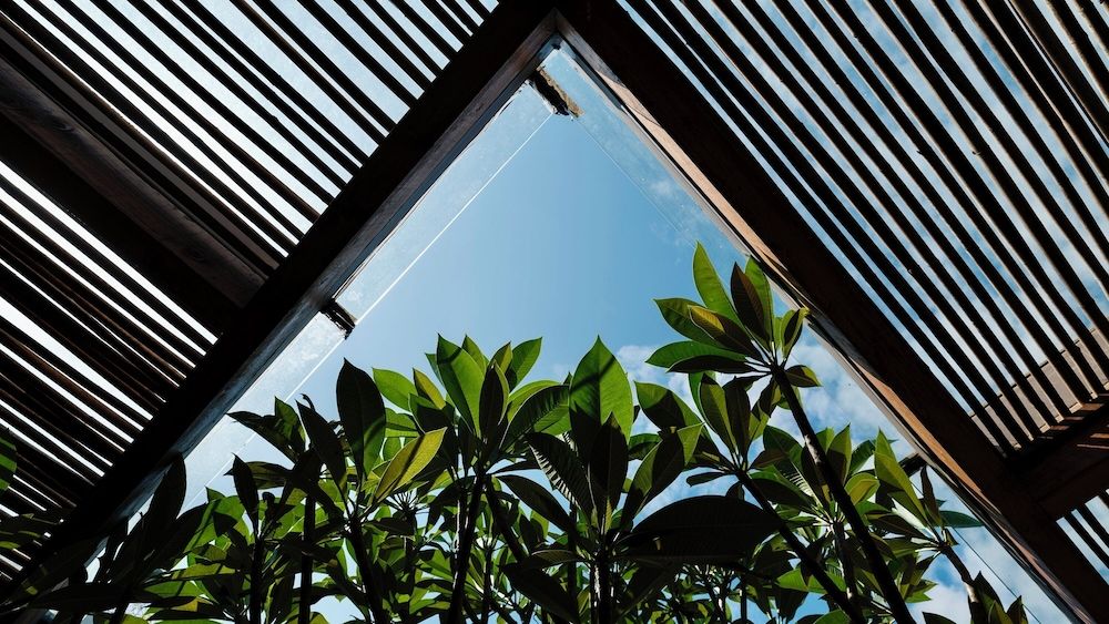 qingyuansanhedaoli Luxury Studio Suite 6