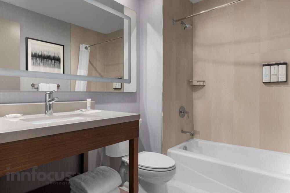 1 Bedroom King Suite