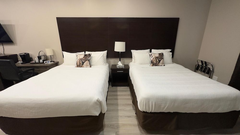 Motel 7 Inn & Suites Executive Studio Suite 6