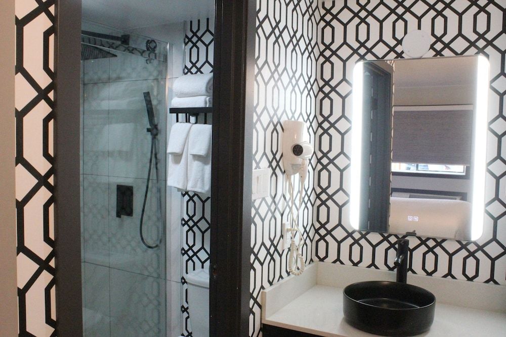 Coast Courtenay Hotel Room, 1 King Bed 6