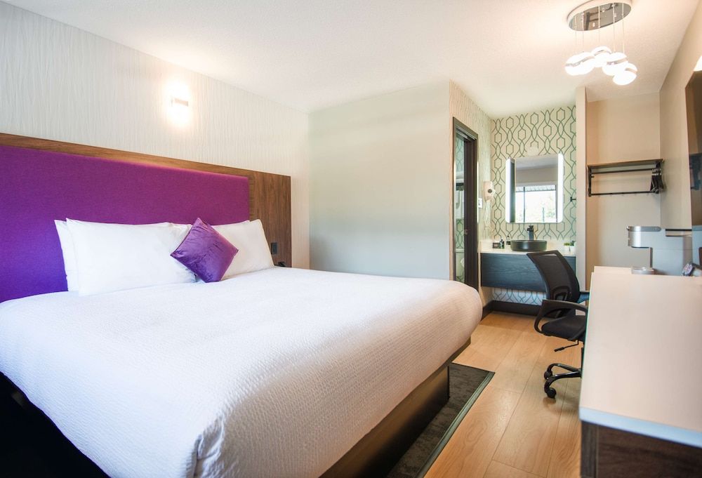 Coast Courtenay Hotel Room, 1 King Bed 4