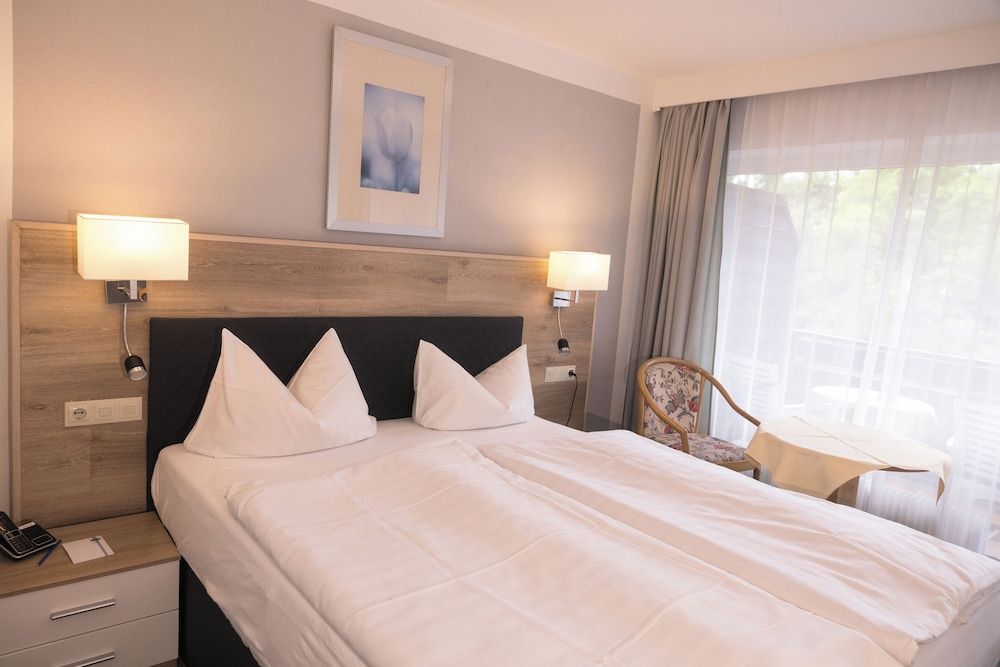 Basic Double Room, Balcony, Mountain View