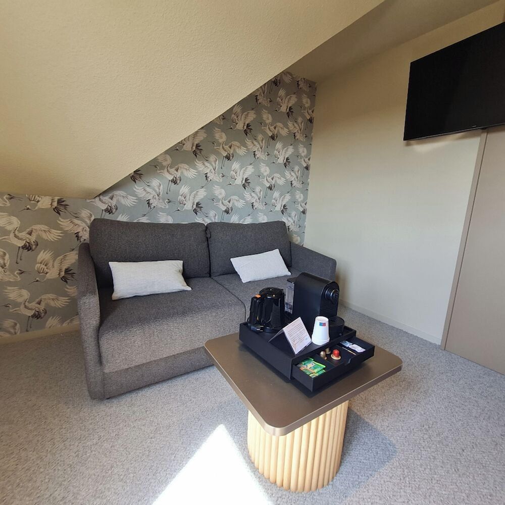 BRIT HOTEL CONFORT ALENCON Accessible Room 8