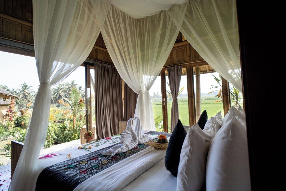 Signature Room