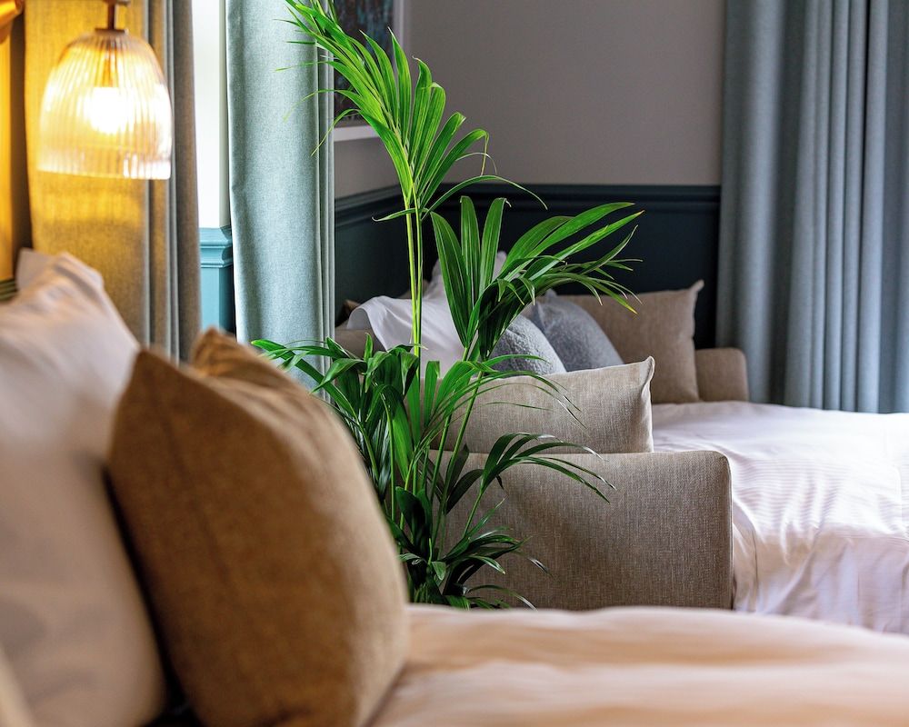 Family suite with sofa bed