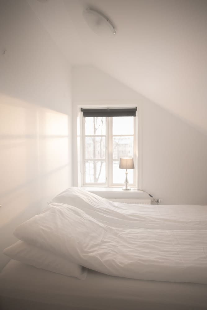 Gamli Skolinn Husavik Deluxe Loft 3