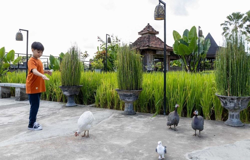 Children's Play Area