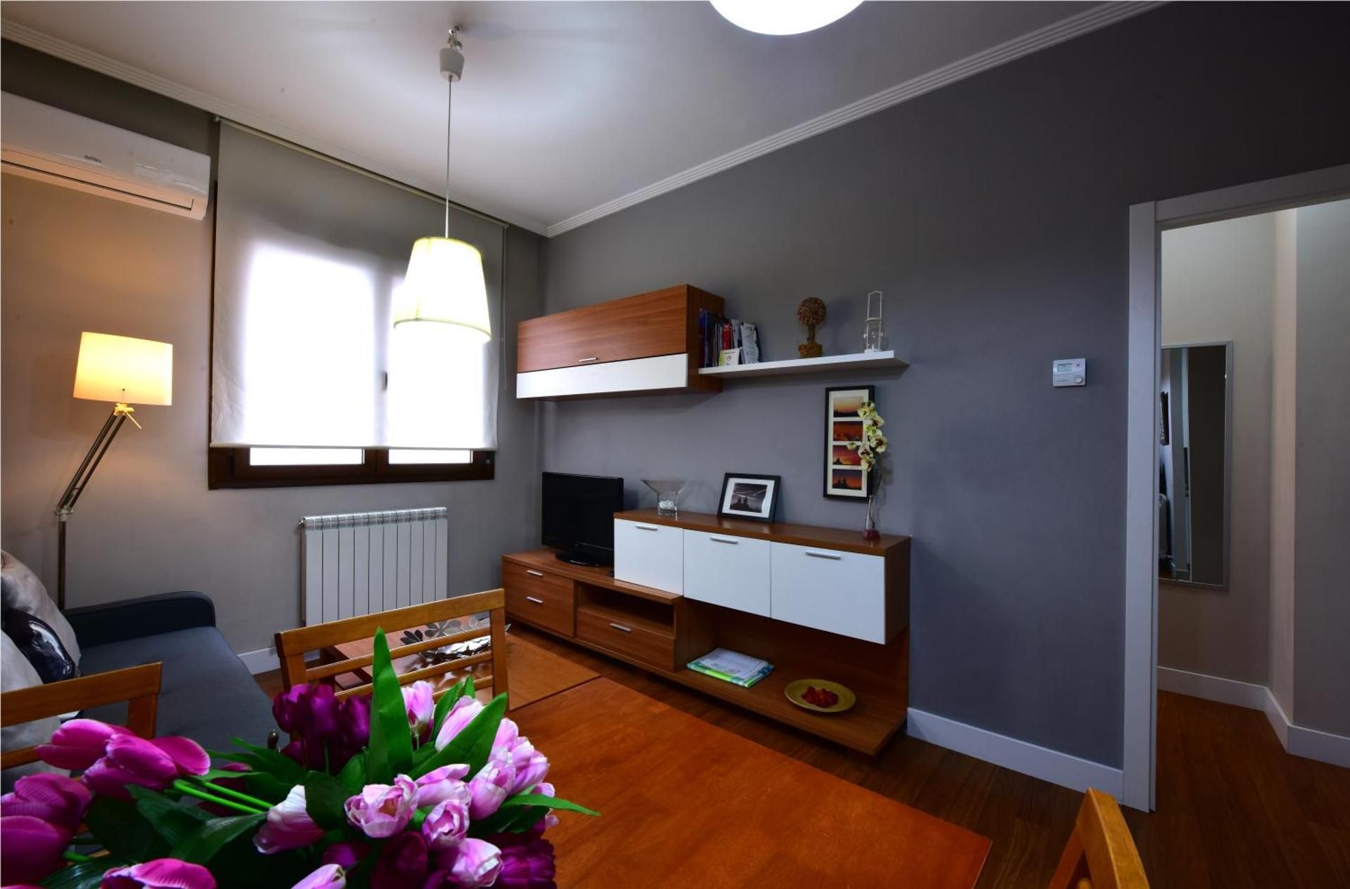 Salamanca Centro Apartamentos Apartment 24