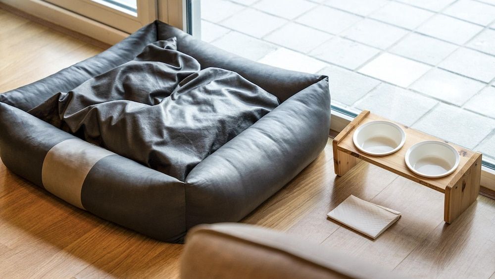 Hoengseong Withpet Village Basic Room, 3 Bedrooms (Yellow Room) 11