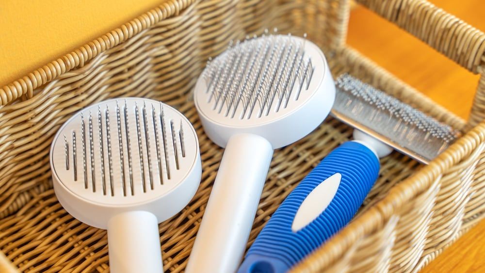 Yeosu Canada meo Village pet Pension Basic Room, 3 Bedrooms (Family Room) 7