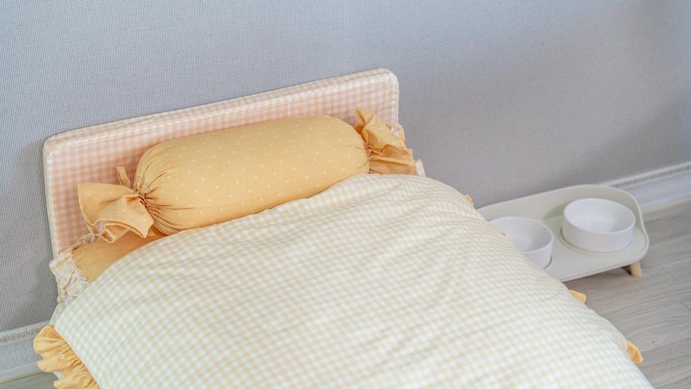 Yeosu Canada meo Village pet Pension Basic Room, 1 Bedroom (Room 401) 4