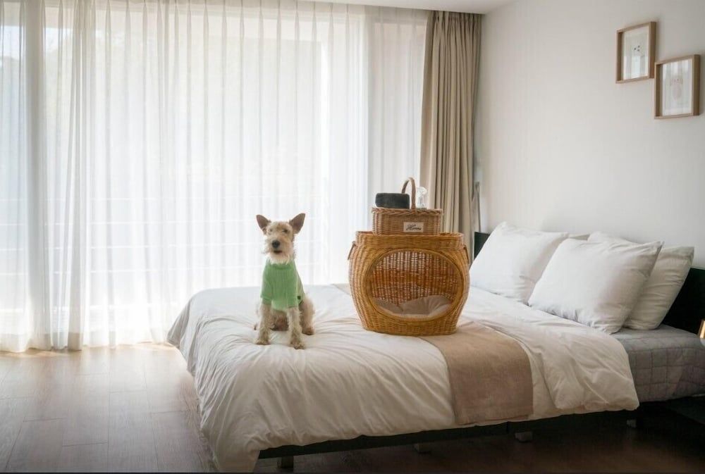 tongyoung767pension 301