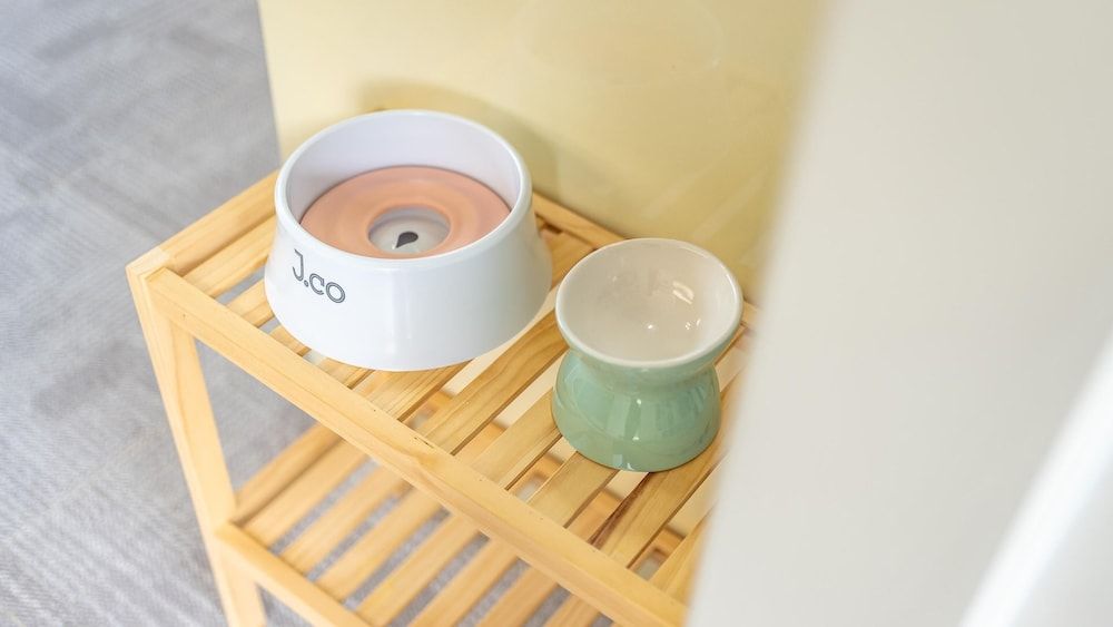 Yangpyeong Dodam Dodam Pension Basic Room, 1 Bedroom (Room B202) 3