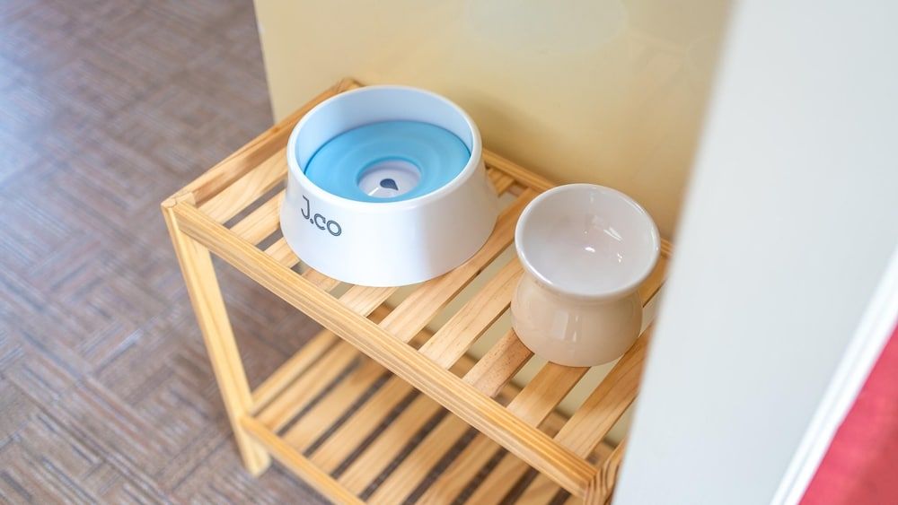 Yangpyeong Dodam Dodam Pension Basic Room, 1 Bedroom (Room A202) 3