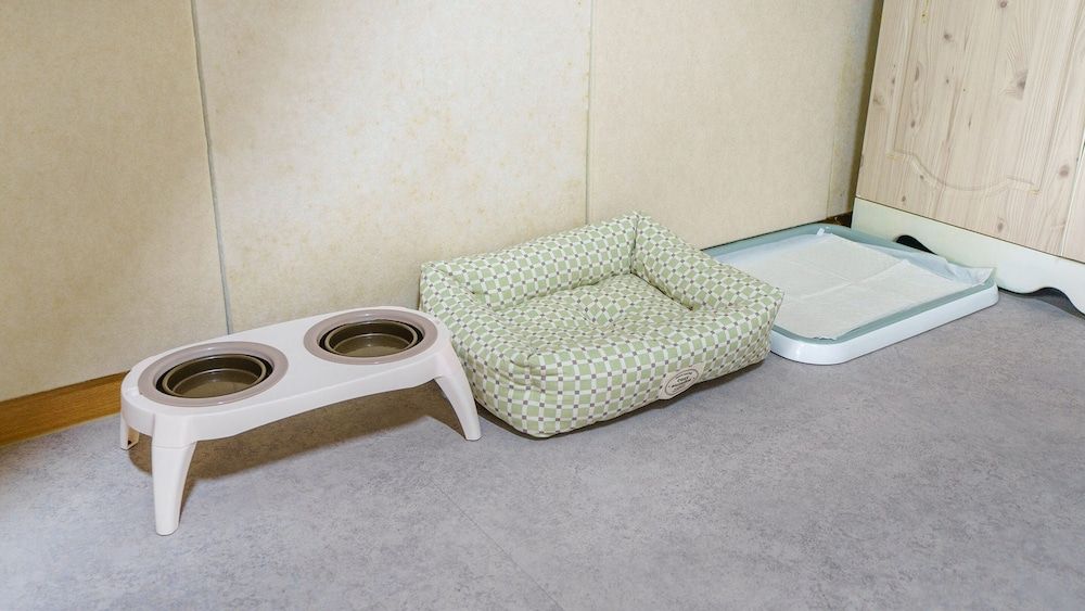 Yangpyeong Beulleosseom pet spa Pension Basic Room, 1 Bedroom (freesia) 6