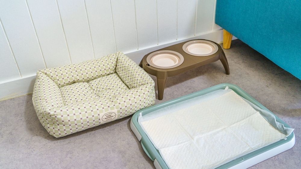 Yangpyeong Beulleosseom pet spa Pension Basic Room, 1 Bedroom (daisy) 6