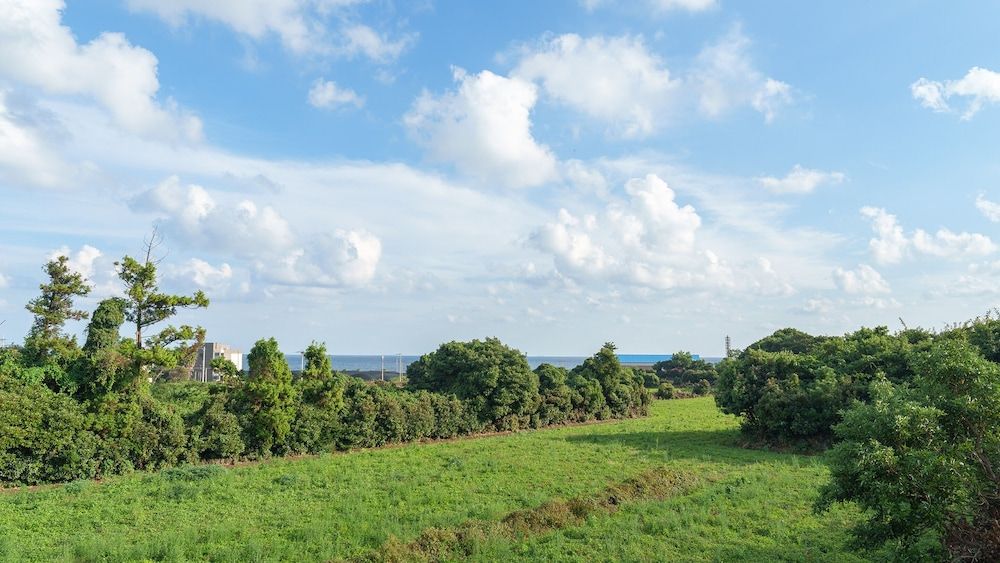 Jeju Stay Eden Dokche Poolvila Pension Basic Room, 2 Bedrooms (stayeden dull) 7