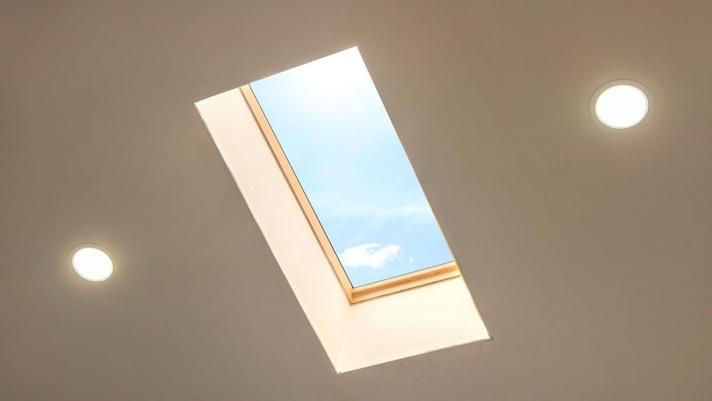 Gangneung Nineone Pet Pension Basic Room, 1 Bedroom (B Room 3) 6