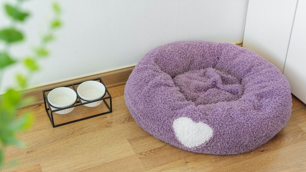 Geoje Yeoul Pet-friendly Pension Basic Room, 1 Bedroom (Poodle 101) 9