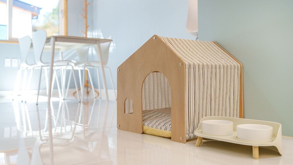 Stay Osolchae Dokche Pool Villa Pension Basic Room, 2 Bedrooms (Stay dokche O) 8