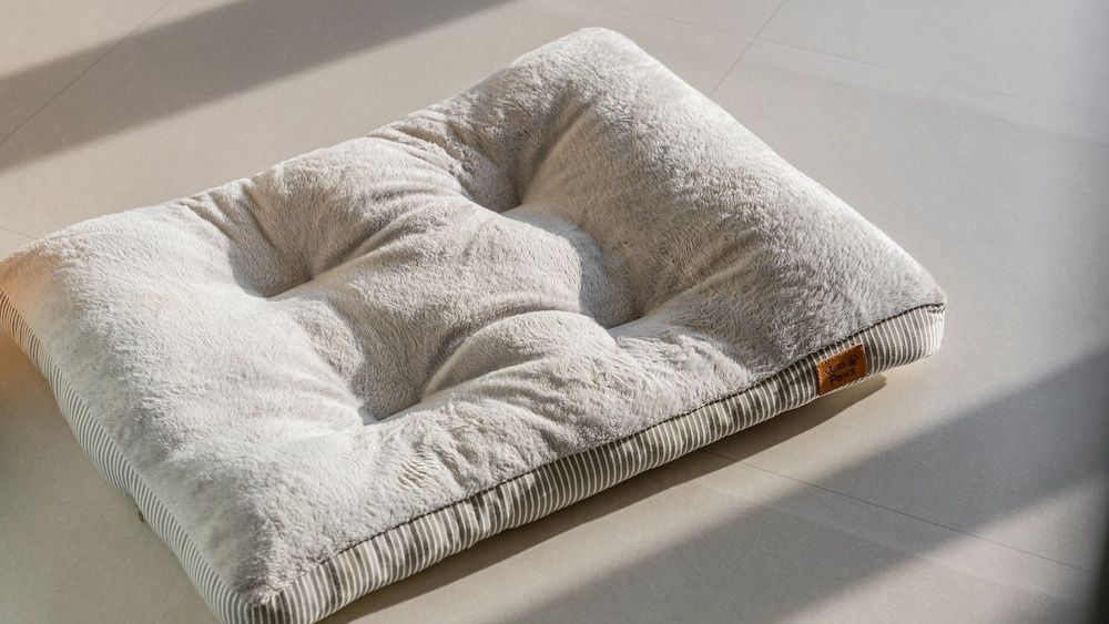 Gapyeong High Mong Glamping & Camping Basic Room, 2 Bedrooms (Glamping A-5) 19