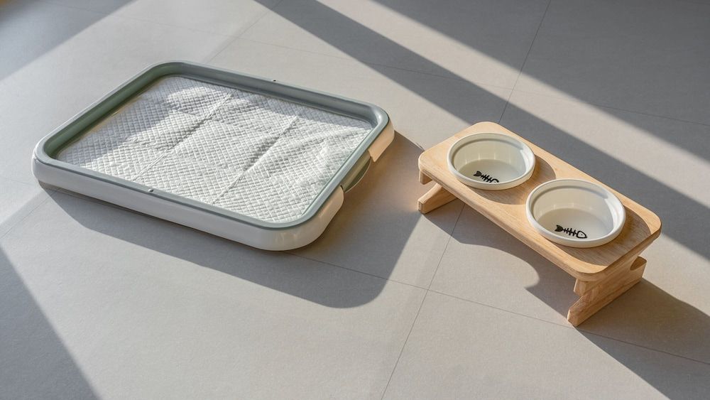 Gapyeong High Mong Glamping & Camping Basic Room, 2 Bedrooms (Glamping A-5) 12