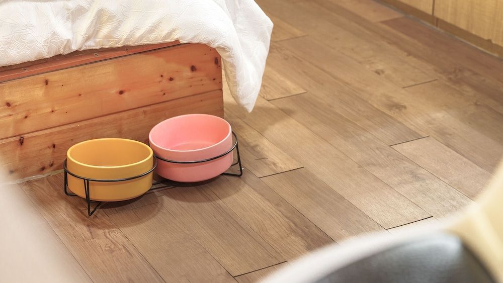 Gapyeong Venezia Dog Pension Basic Room, 1 Bedroom (Red Bery (Dog-friendly / Private BBQ)) 5