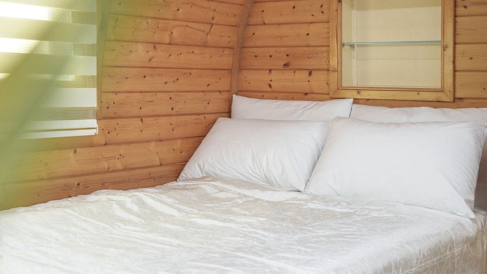 Gapyeong Venezia Dog Pension Basic Room, 1 Bedroom (Red Bery (Dog-friendly / Private BBQ)) 2