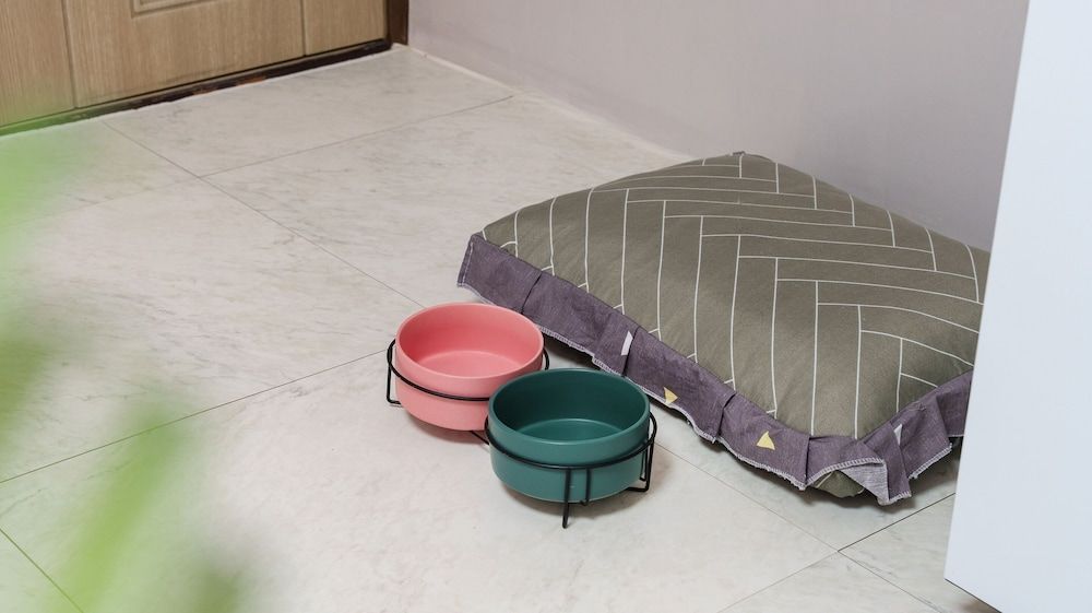 Gapyeong Venezia Dog Pension Basic Room, 1 Bedroom (Emerald (Dog-friendly / Private BBQ)) 8