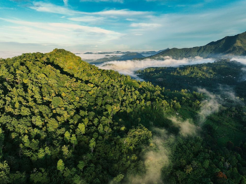 Ropes Course (Team Building)