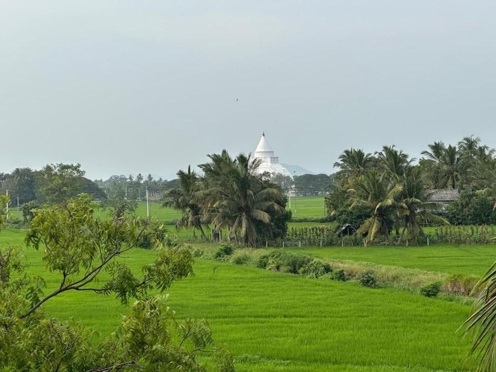 Tranquil Sanctuary Yala Deluxe Double Room, Garden View, Ground Floor 8