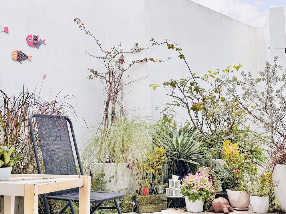 Cloudy Homestay Hoi An Junior Room 11