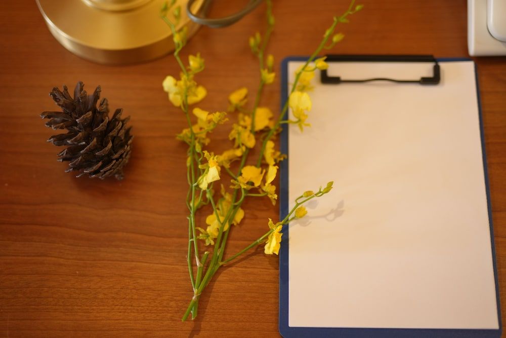 Pleiku Hotel by Gia Lai Tourist Royal Double Room 8