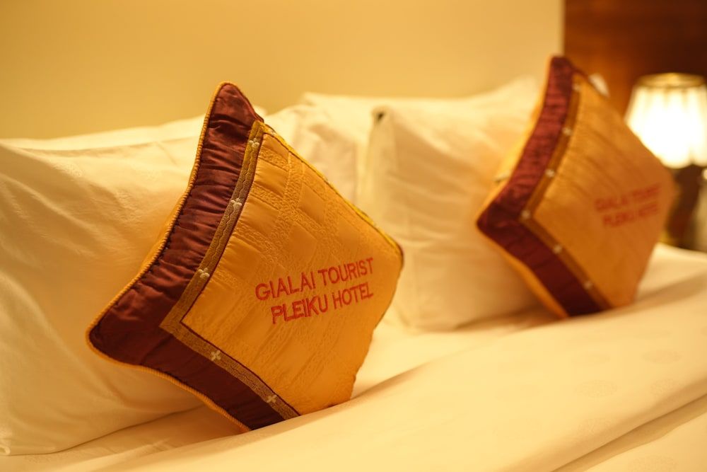 Pleiku Hotel by Gia Lai Tourist Royal Double Room 6