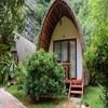 Fairy Mountain Retreat