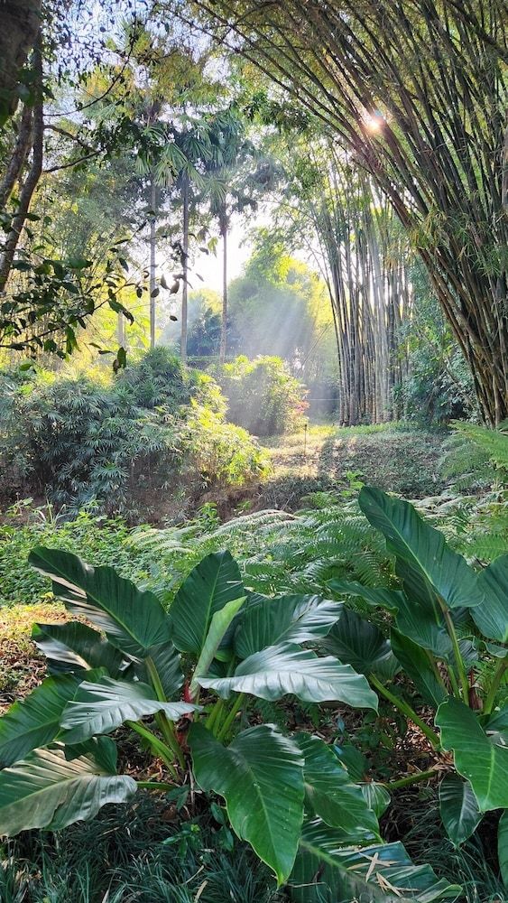Land View from Property