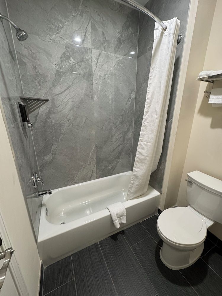 Elite Inn & Suites Elite Single Room 3