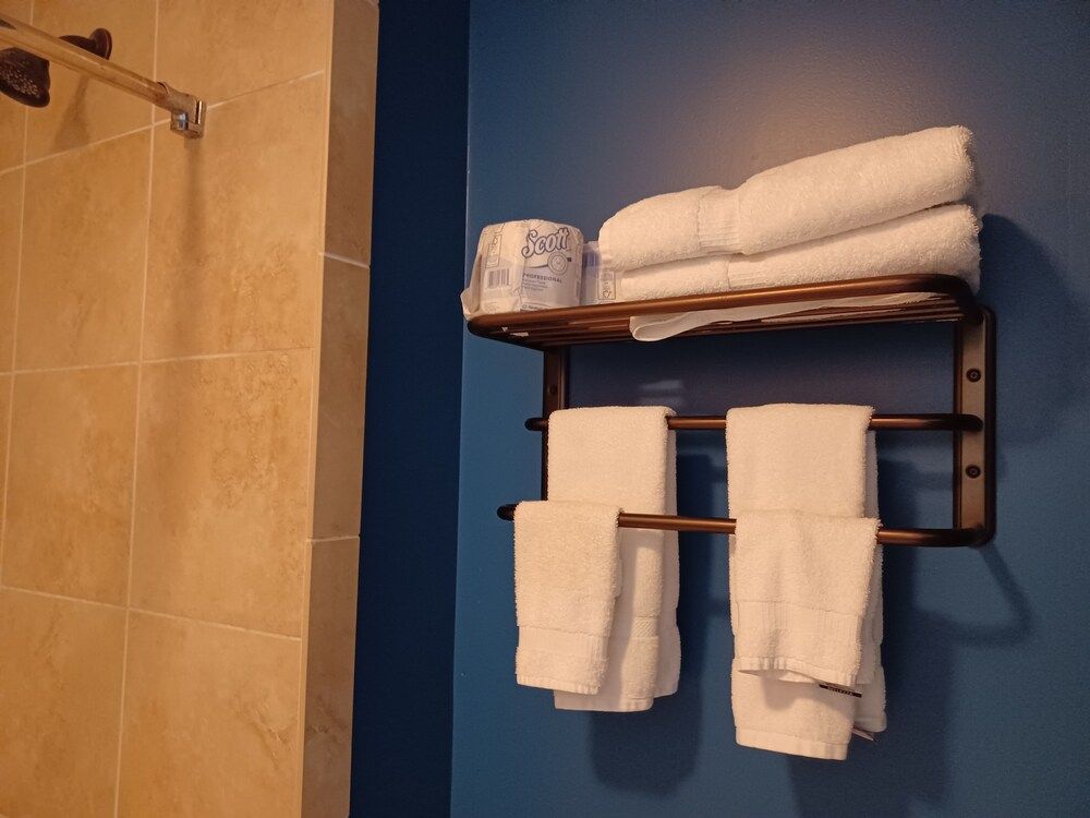 Natchez Manor Bed & Breakfast Janessa Victoria 4