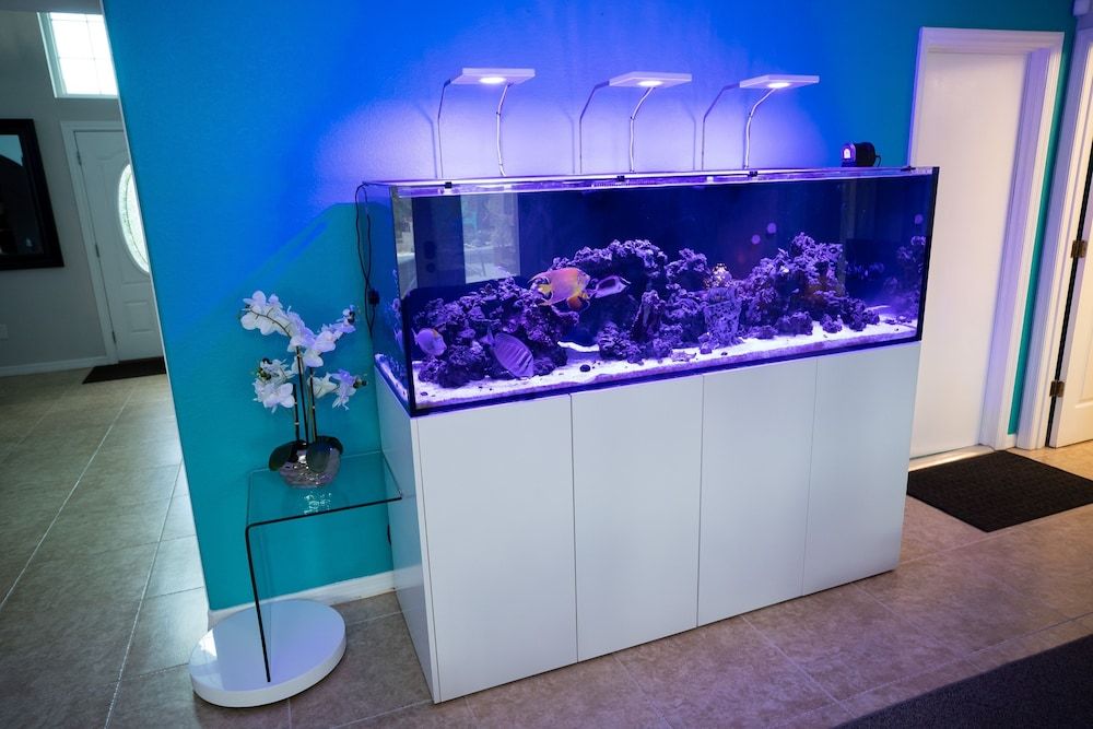 Gorgeous Urban Oasis W/hot Tub, Heated Pool And Private Movie Theater 3 Bedroom Home by RedAwning House, 3 Bedrooms 4