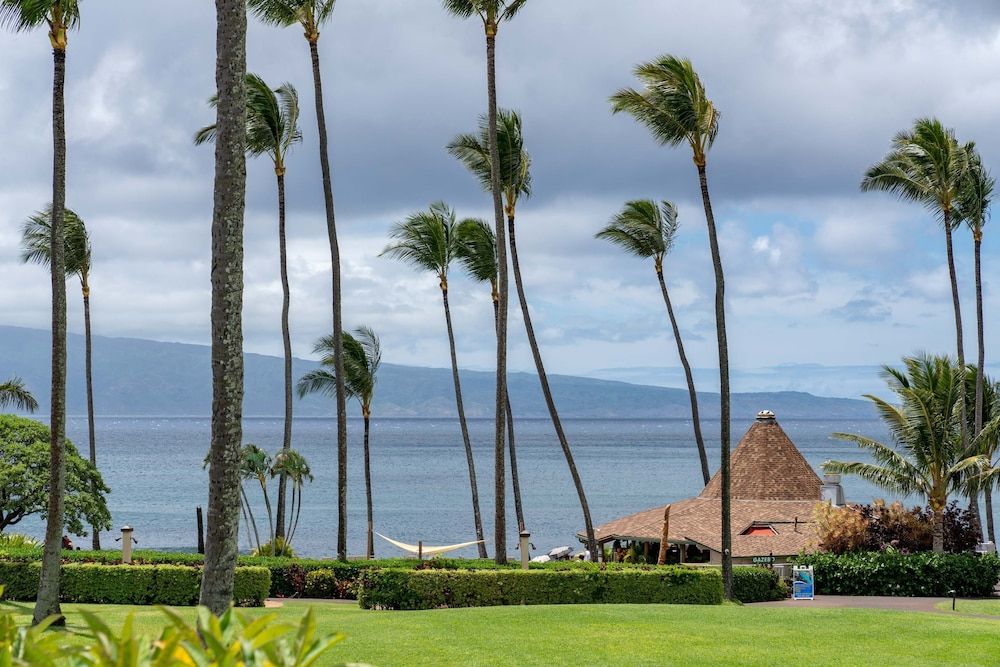 Napili Shores A106 0 Bedroom Condo by RedAwning Studio 24