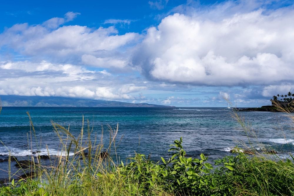 Napili Shores A106 0 Bedroom Condo by RedAwning Studio 47