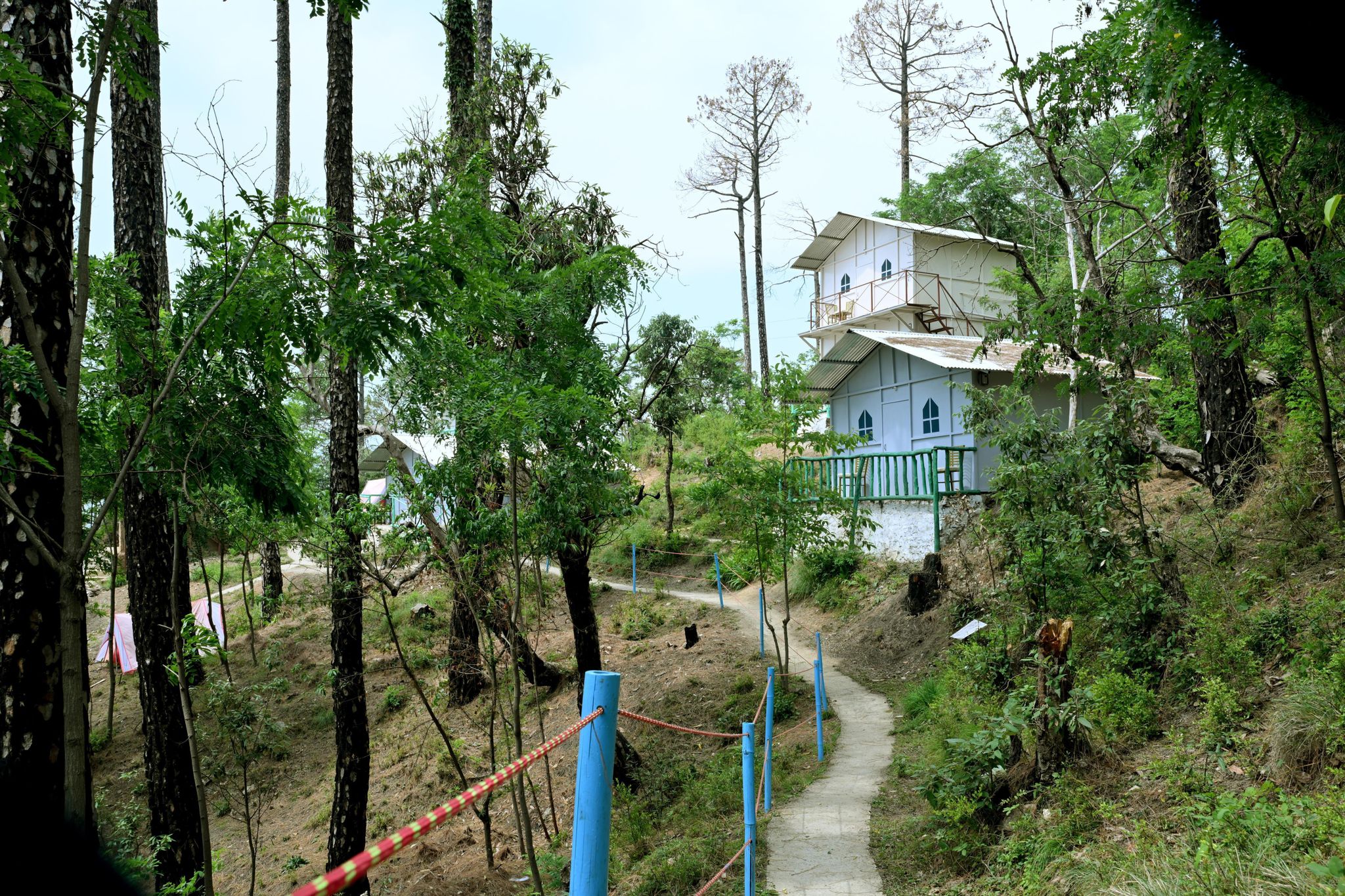 Camp Potter Hills