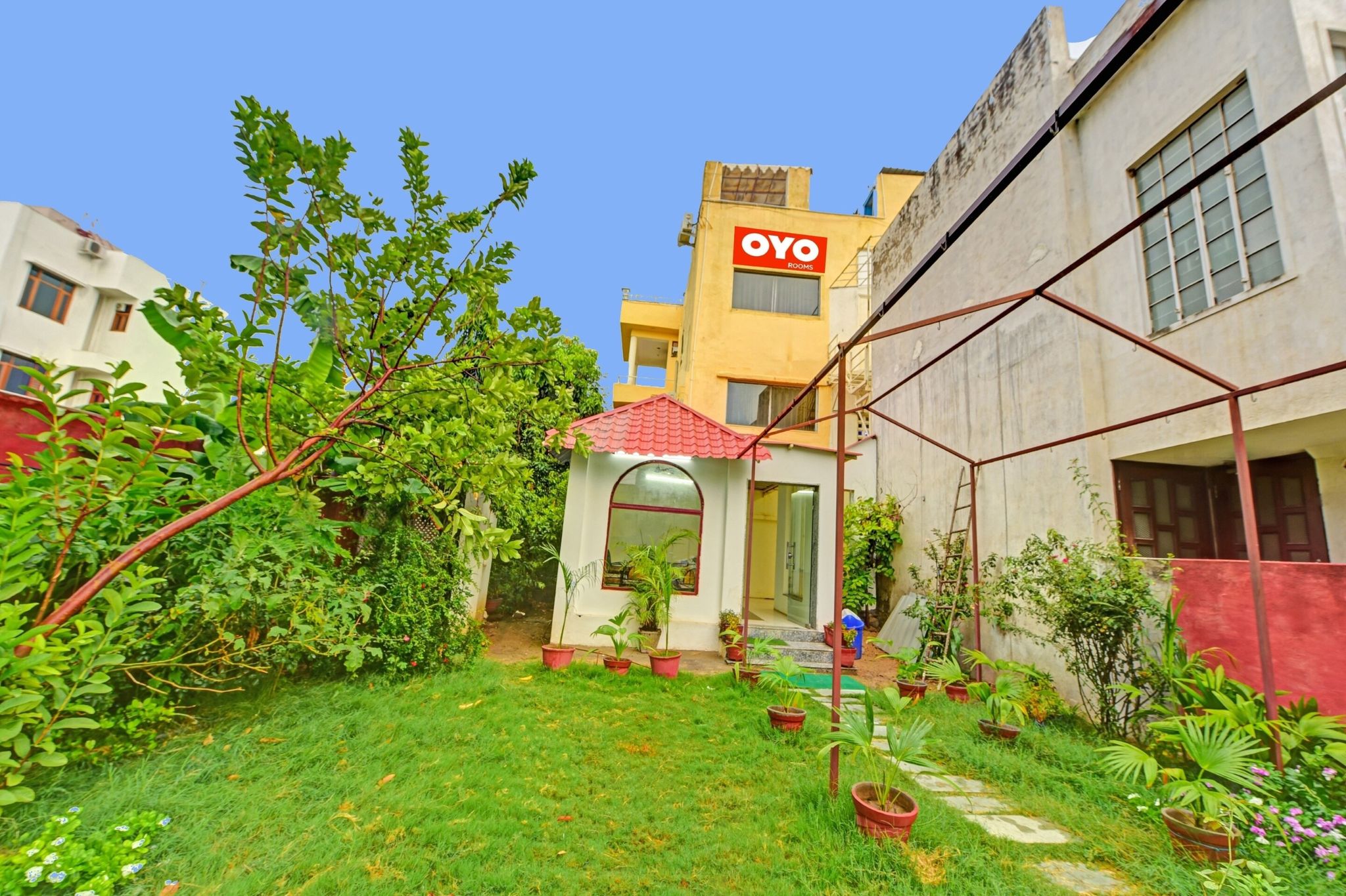 Hotel Tree of Heaven 