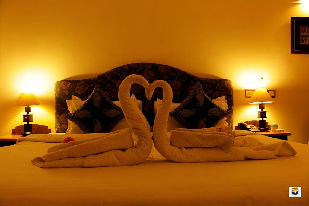 Deoki Niwas Palace Deluxe 3