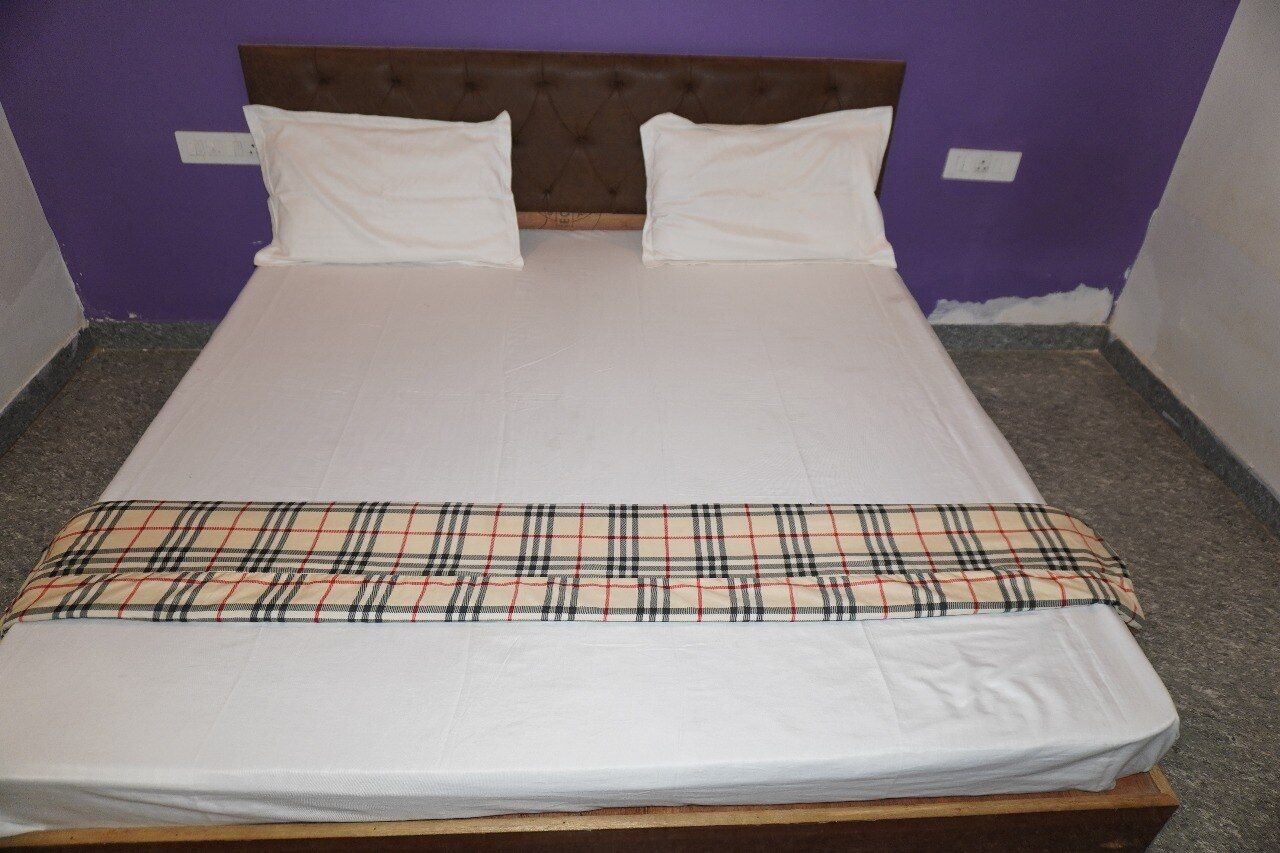 MAYUR PALACE Deluxe Room 2