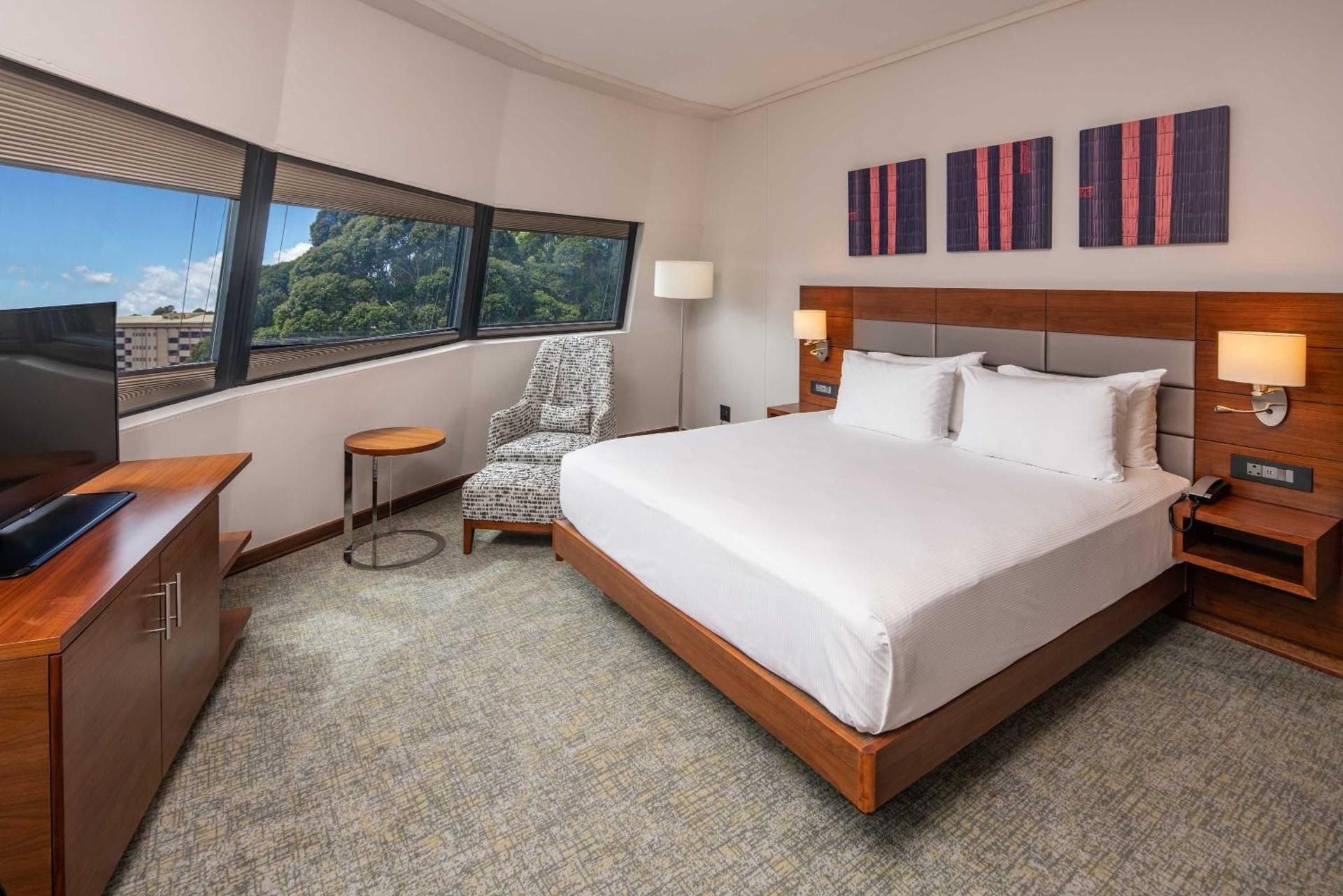 Hilton Garden Inn Mbabane King Accessible Room