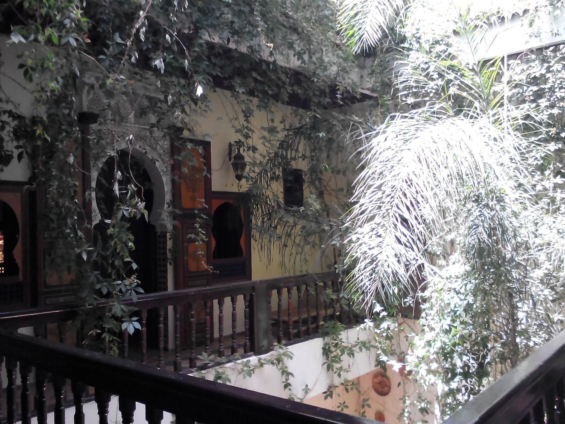 Ryad Bahia