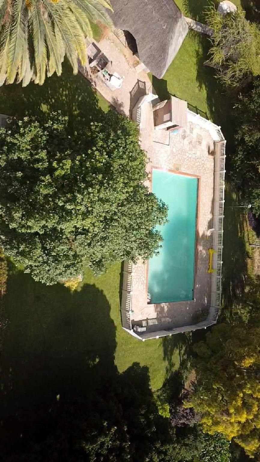 swimming pool [outdoor]