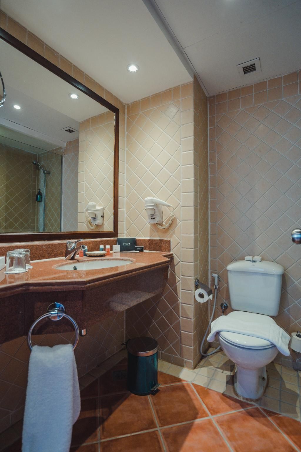 Superior Double or Twin Room with Pool View